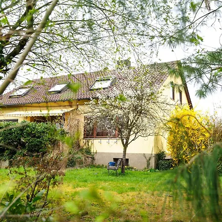 Apartamento Mhosting Kehl