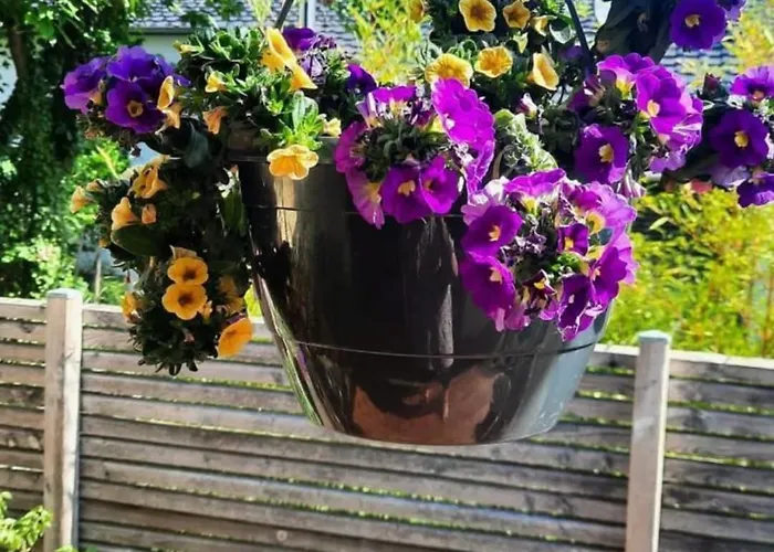 Apartamento Mhosting