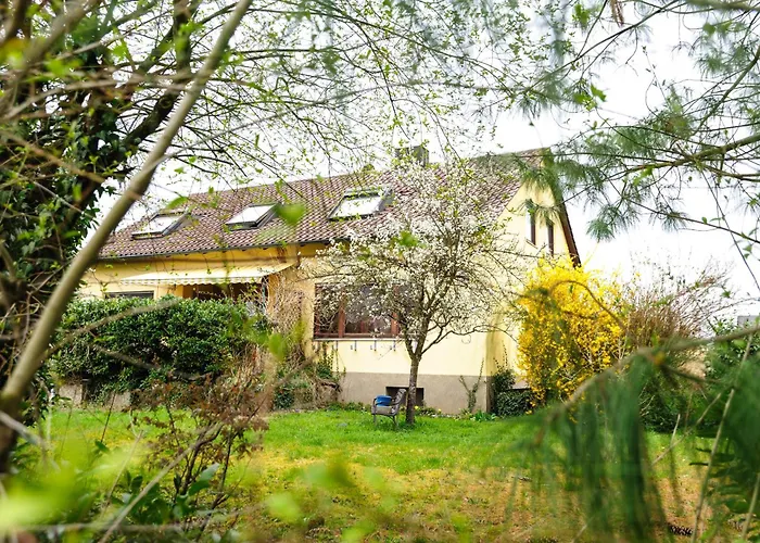 Apartamento Mhosting Kehl